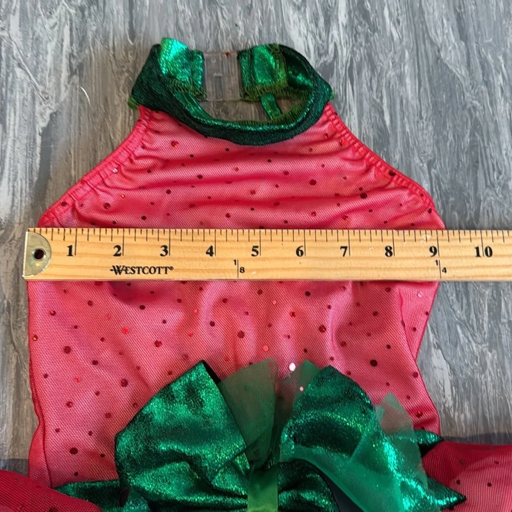 Cicci Dance Costume Leotard Tutu Ballet